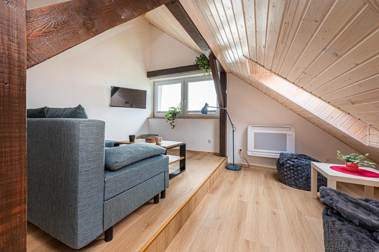 Apartment Kamienna Top Studio - Billberry